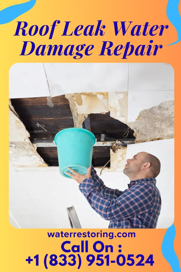 Roof Leak Water Damage Repair in Troy, TX